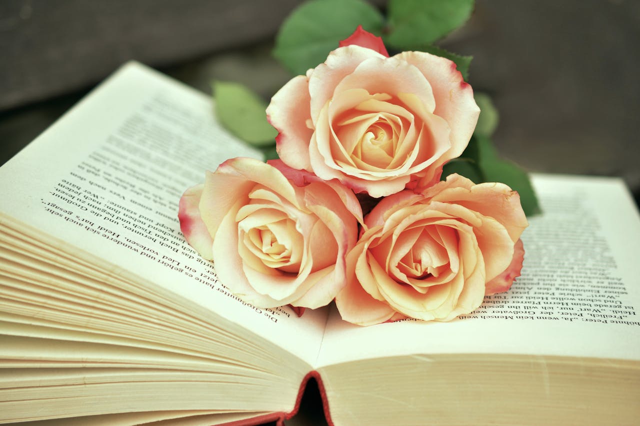 Home Soft pink roses elegantly arranged on an open book, symbolizing romance and literature.